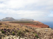 2010-05_lanzarote024
