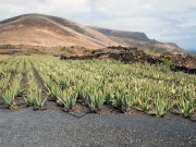 2010-05_lanzarote032