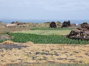 2010-05_lanzarote034