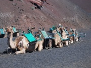 2010-05_lanzarote075