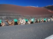 2010-05_lanzarote079