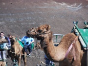 2010-05_lanzarote080