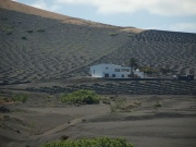 2010-05_lanzarote083