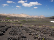 2010-05_lanzarote084