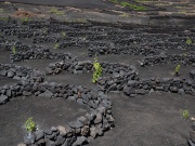 2010-05_lanzarote092