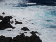 2010-05_lanzarote102