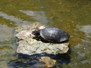 2011_cuba107