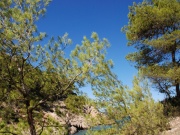 2011_ibiza007