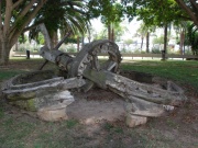 2011_ibiza046