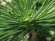 2012_asia058