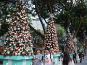 2012_asia169