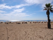 2012_barcelona002