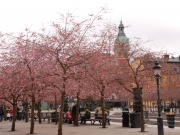 2014-04_stockholm006