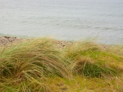 2017-08_irland070