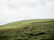 2017-08_irland107